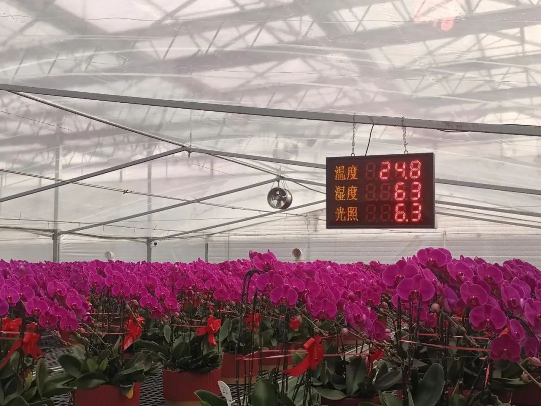 数据中心回收服务器