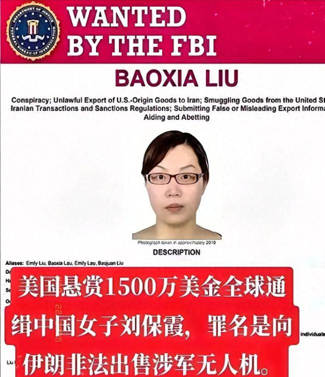 山东大妈遭FBI悬赏1.1亿!人在家中坐,竟成军火女王? | 淼一销毁回收